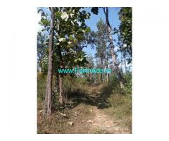 18.5 Acre Coffee Estate land for Sakleshpur