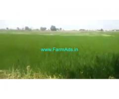 1 Acres Agriculture Land  For Sale In Sangareddy