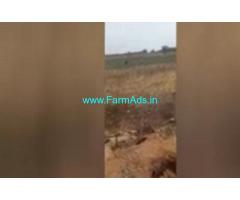 1 Acres Farm House For Sale In Sangareddy