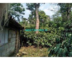 1.30 Acres Coffee Estate for Sale in Mudigere