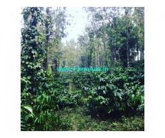 5 acre coffee estate for sale in Mudigere towards Hanbal