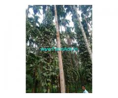 1.10 Acre Patta and 1 Acre kumki land for Sale 8km from Vittal town