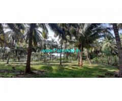 1.20 Acres Beautiful Coconut Farm Sale At Pollachi