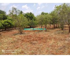 30 Acre Farm land for Sale near Hiriyur