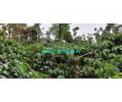 4 Acre Coffee estate with home stay for sale in Sakleshpur