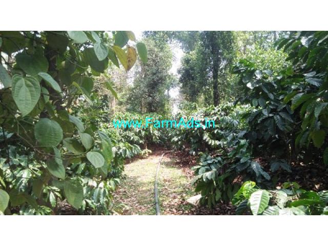 4 Acres well maintained Coffee estate for sale near Chikmagalur