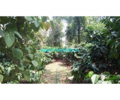 4 Acres well maintained Coffee estate for sale near Chikmagalur