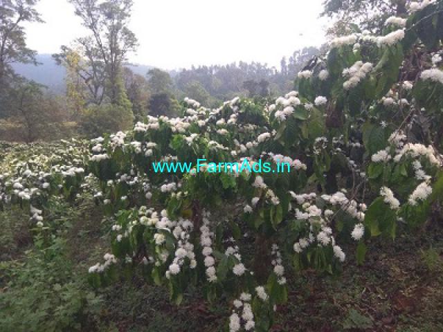 400 acre Coffee estate for sale in Chikkamagaluru