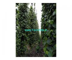 400 acre Coffee estate for sale in Chikkamagaluru