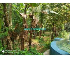 22 Cent Plot and old house for sale at Kumbanad