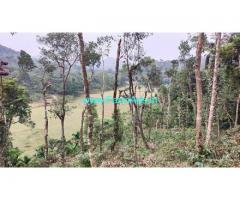 3.5 acre farm land for sale in Mudigere