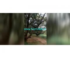 40 Acres Agriculture Land For Sale In Tirupathi