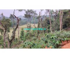 3.5 Acres Agriculture Land For Sale In Mudigere