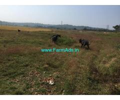 15 Acres Agriculture Land For sale in Belur