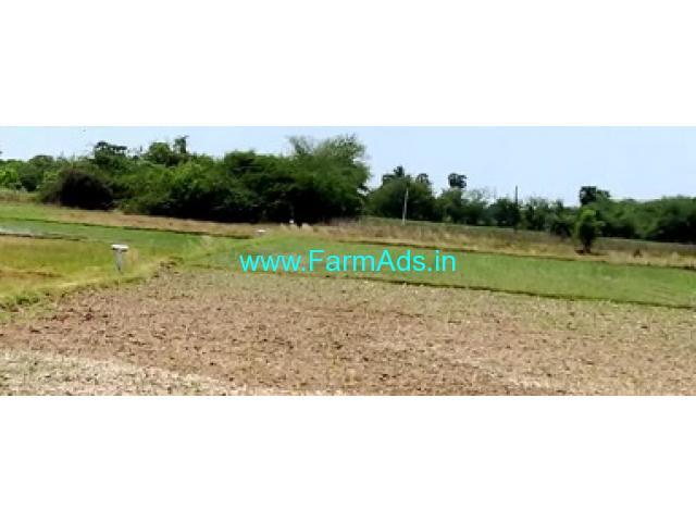 50 Acres Agriculture Land For Sale In Villupuram