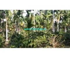 7 Acres Farm Land For Sale In Chikkamagaluru
