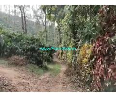 15 Acres Agriculture Land For Sale In Mudigere