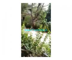 1.5 Acres Farm Land For Sale In Chikkamagaluru