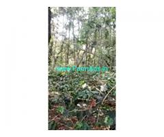 1.5 Acres Farm Land For Sale In Chikkamagaluru