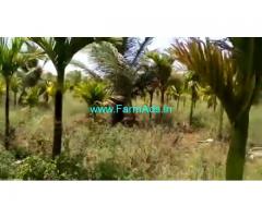7 Acres Agriculture Land For Sale In Chikkamagaluru