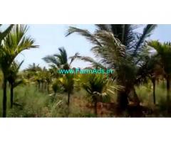 7 Acres Agriculture Land For Sale In Chikkamagaluru