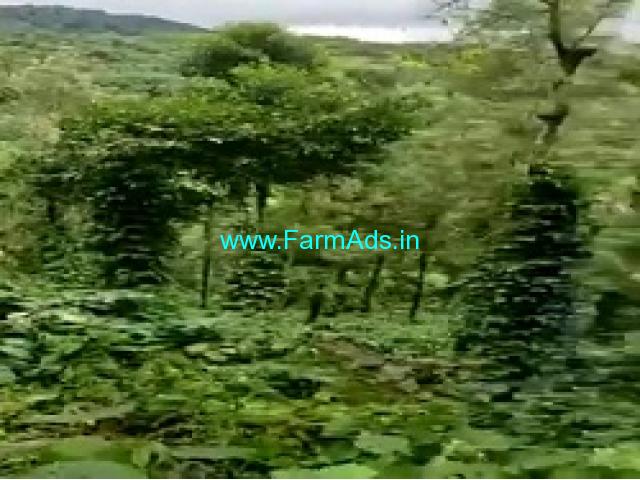 30 Acres Agriculture Land For Sale In Balehonnur