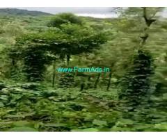 30 Acres Agriculture Land For Sale In Balehonnur