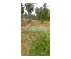 10 Acres Agriculture Land For Sale In Kadur