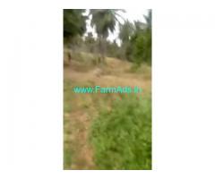 10 Acres Agriculture Land For Sale In Kadur