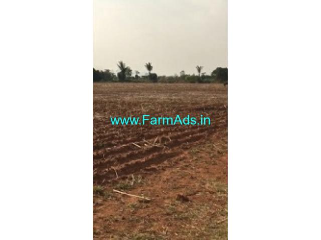 20 Guntas Farm Land For Sale In Bengaluru rural