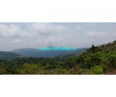 6 Acres Farm Land For Sale In Sakleshpur