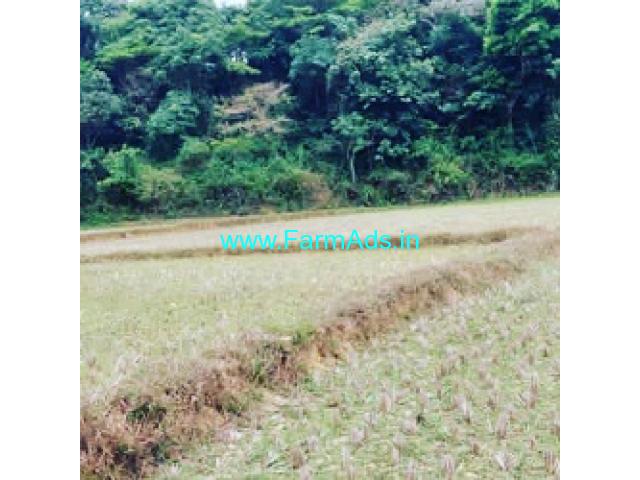 2 Acres Agriculture Land For Sale In Sakleshpur