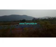 12.75 Acres Farm Land For Sale In Appalayagunta