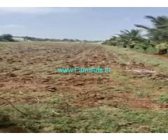 7 Acres 26 Gunta Agriculture Land For Sale In Kadur