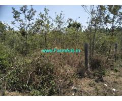 4 Acres Farm Land For Sale In Chikmagalur