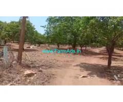 6 Acres Agriculture Land For Sale In Ragunathpalli mandal