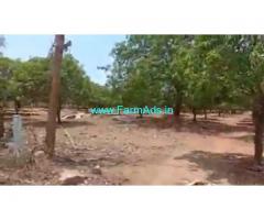 6 Acres Agriculture Land For Sale In Ragunathpalli mandal