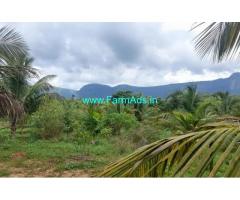 30 Acres Agriculture Land For Lease In Avanoor