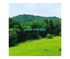 2 Acres Agriculture Land For Sale In Sakleshpura