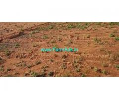 10 Acres Agriculture Land For Sale In Bukkarayasamudram