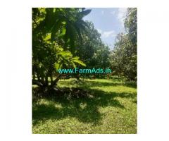 6 Acres Agriculture Land For Sale In Palakkad