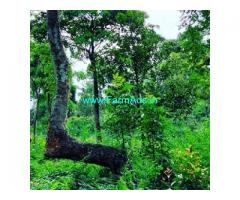4 Acres Agriculture Land For Sale In Hassan