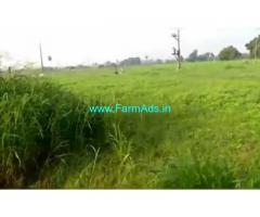 6.25 Acres Farm Land For Sale In Dharmavaram