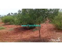 15 Acres Agriculture Land For Sale In Kanigiri