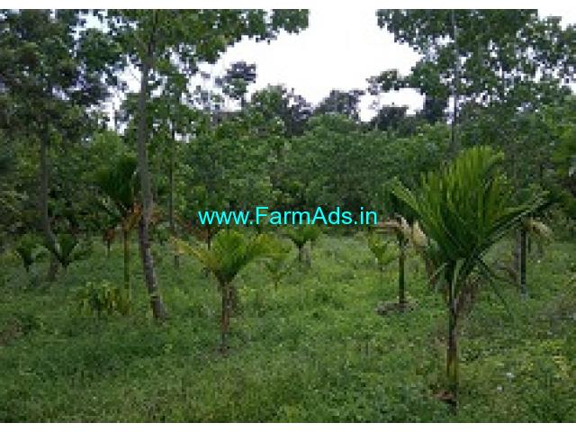 5 Acres Agriculture Land For Sale In Mallandur
