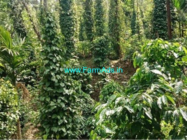 3 Acres Farm Land For Sale In Mudigere