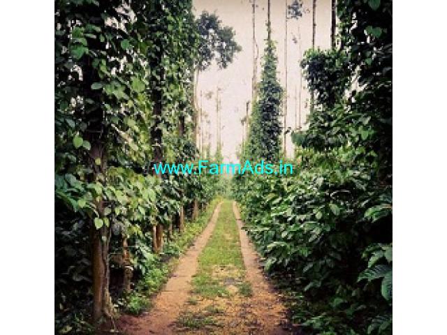 19 Acres Farm Land For Sale In Hassan