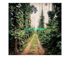 19 Acres Farm Land For Sale In Hassan