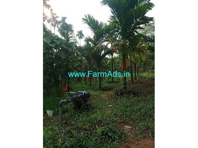 7 Acres Areca Farm Land for sale 18km from Puttur