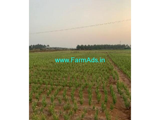 5 Acres Agriculture Land For Sale In Kudimangalam